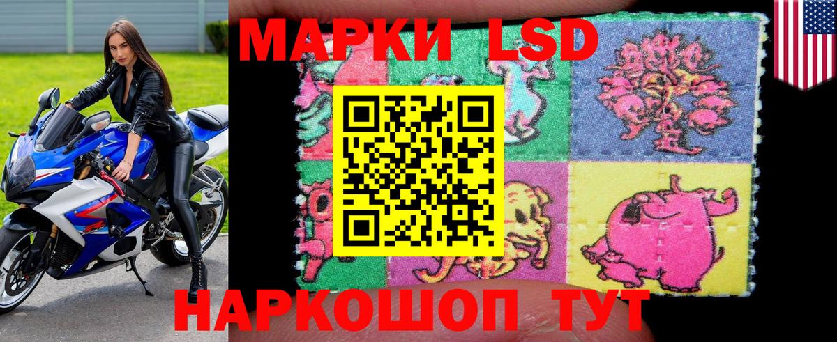 Гусев  Наркотические марки 1,5мг  Вход с VPN  Наркотические марки 1,5мг 